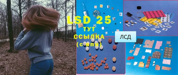 индика Абинск