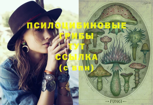 СК Абаза